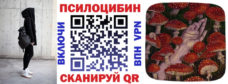 Купить где  Киреевск  Галлюциногенные грибы GOLDEN TEACHER 